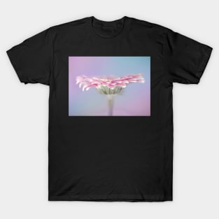 Pink Gerbera T-Shirt